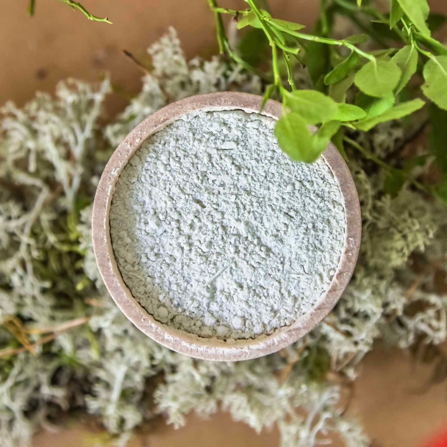 recalm probiotic herbal face mask 2