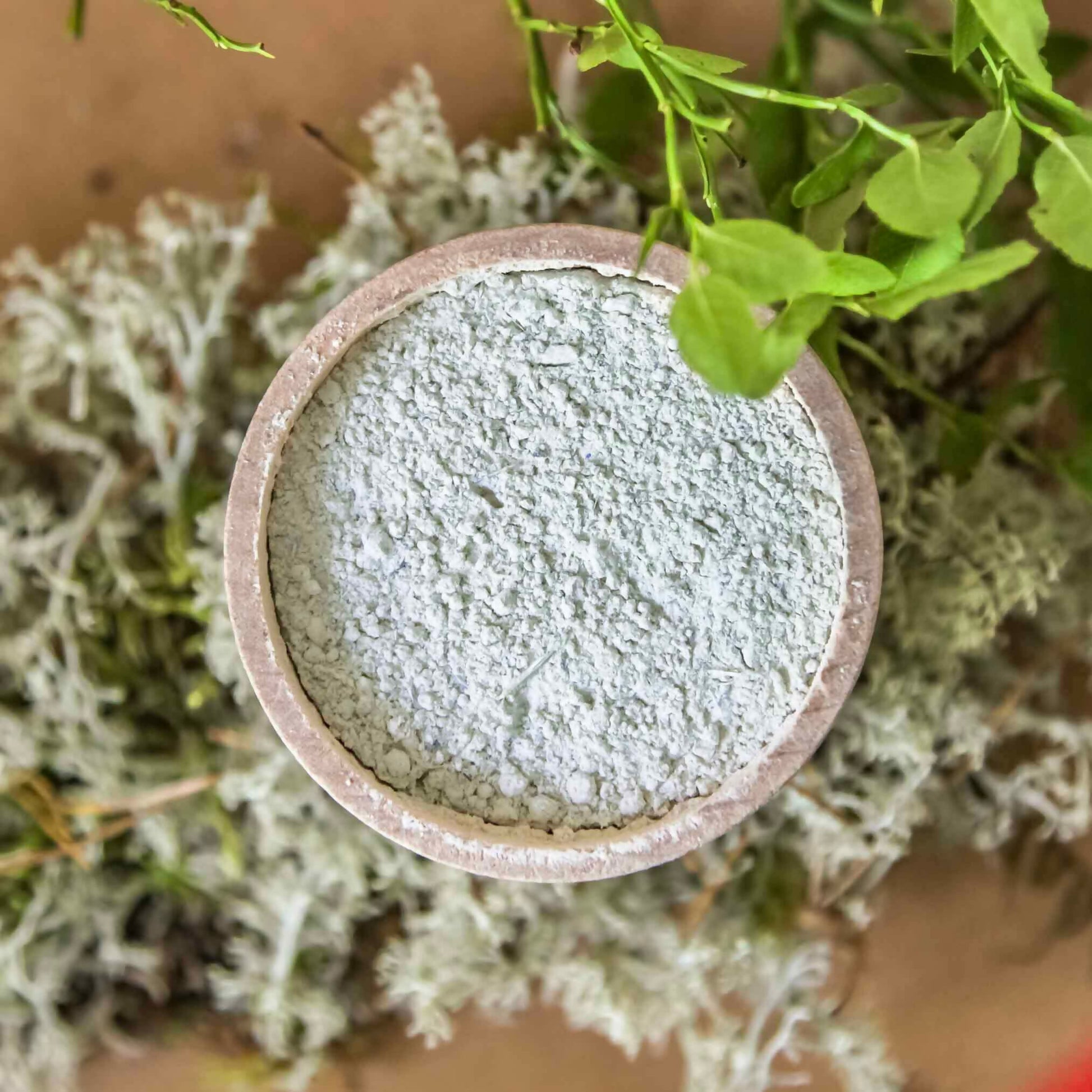 recalm probiotic herbal face mask 2